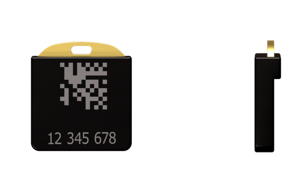 59ezxbyiehhogtk0wn5rtxrkbk9vrs2z